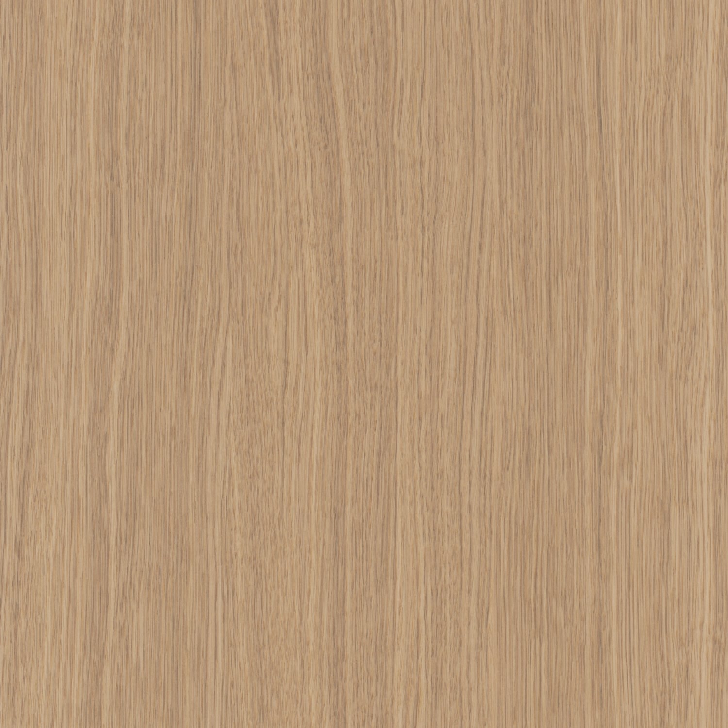 Nordic Oak (WOOD)