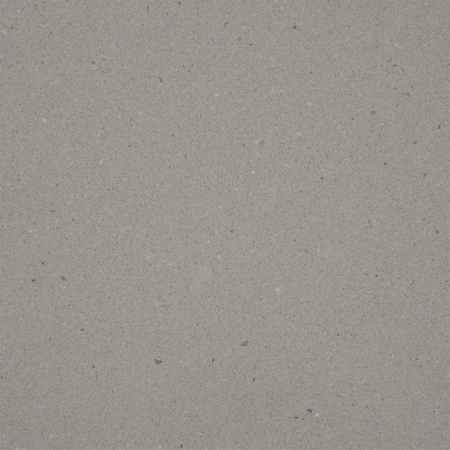 Raw Concrete (QUARTZ)